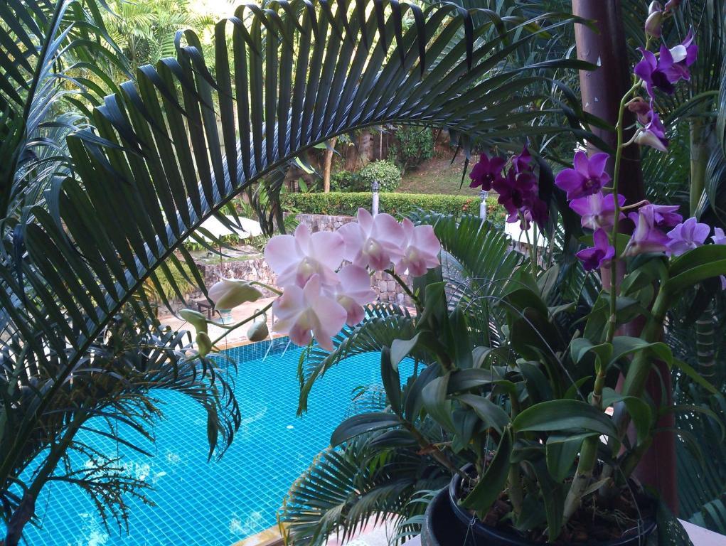 Inter House Hotel Kata Beach  Exterior photo