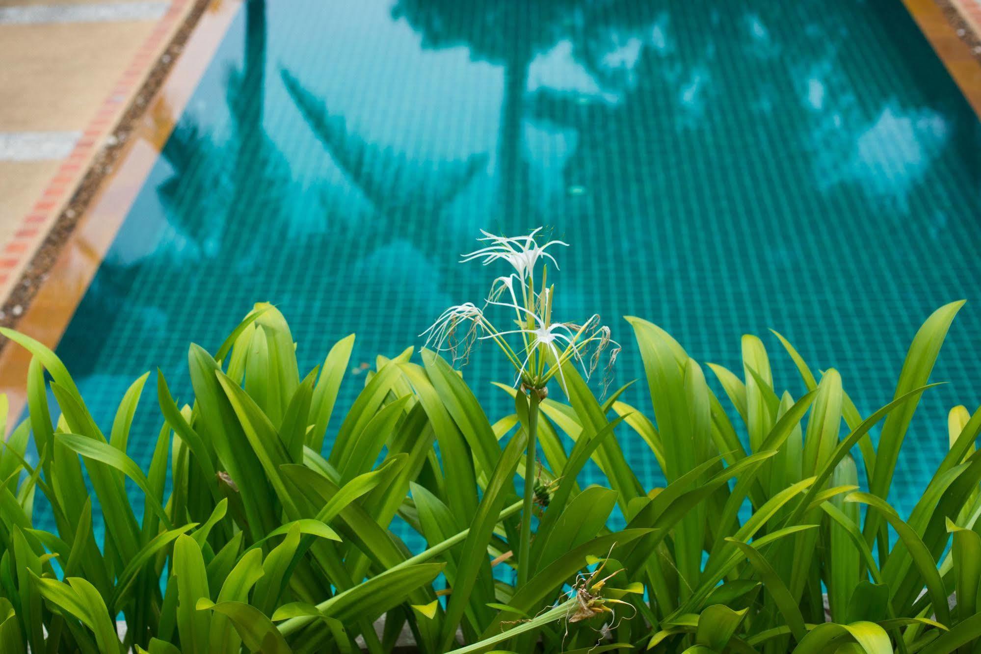 Inter House Hotel Kata Beach  Exterior photo